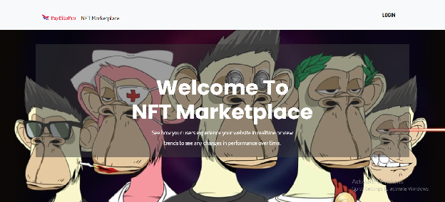 White label NFT marketplace interface with collections and featured digital assets